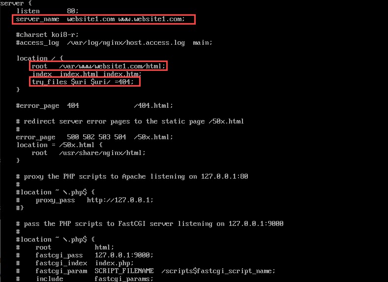 nginx configuration file for server block with server name