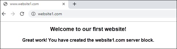 screenshot that says welcome to your first website