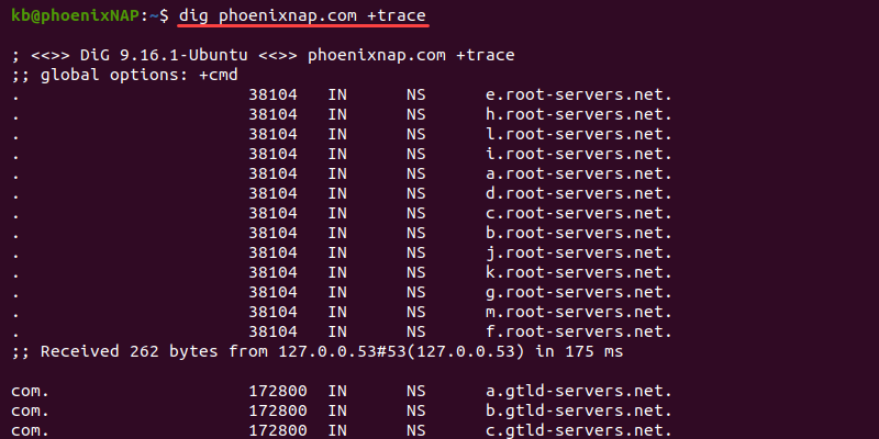 dig phoenixnap.com +trace query terminal output