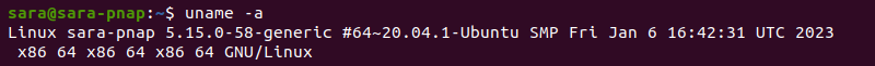 uname a terminal output